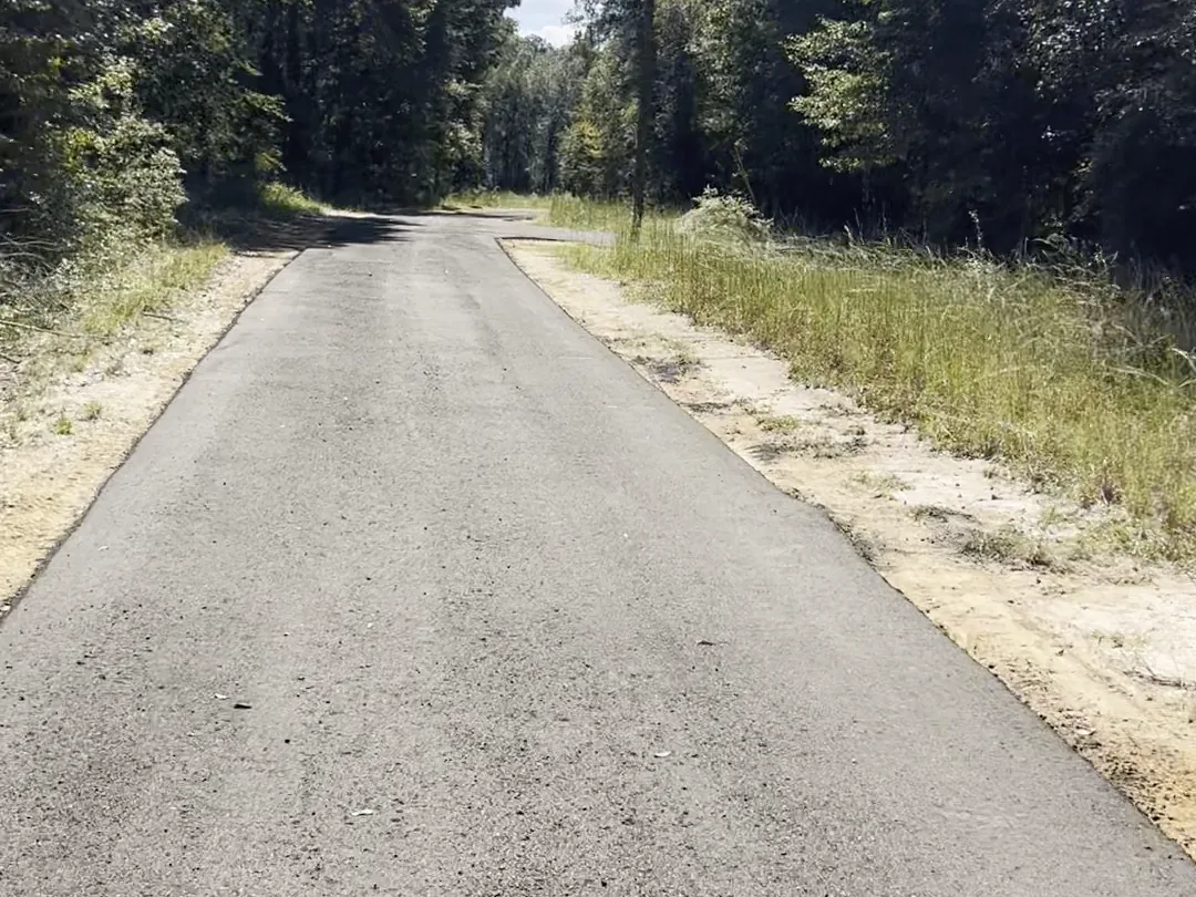 Long recycled asphalt road through the woods with sandy shoulders on both sides